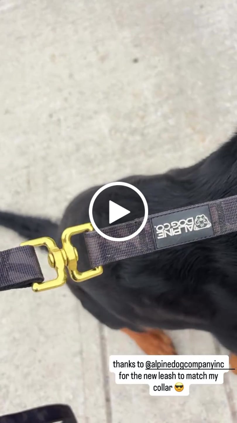 Customer video review of Tacti Luxe Dog Leash - Gold Camo