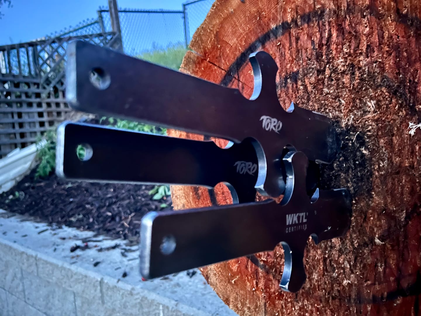 Customer photo review of The Toro Muerto Throwing Knife