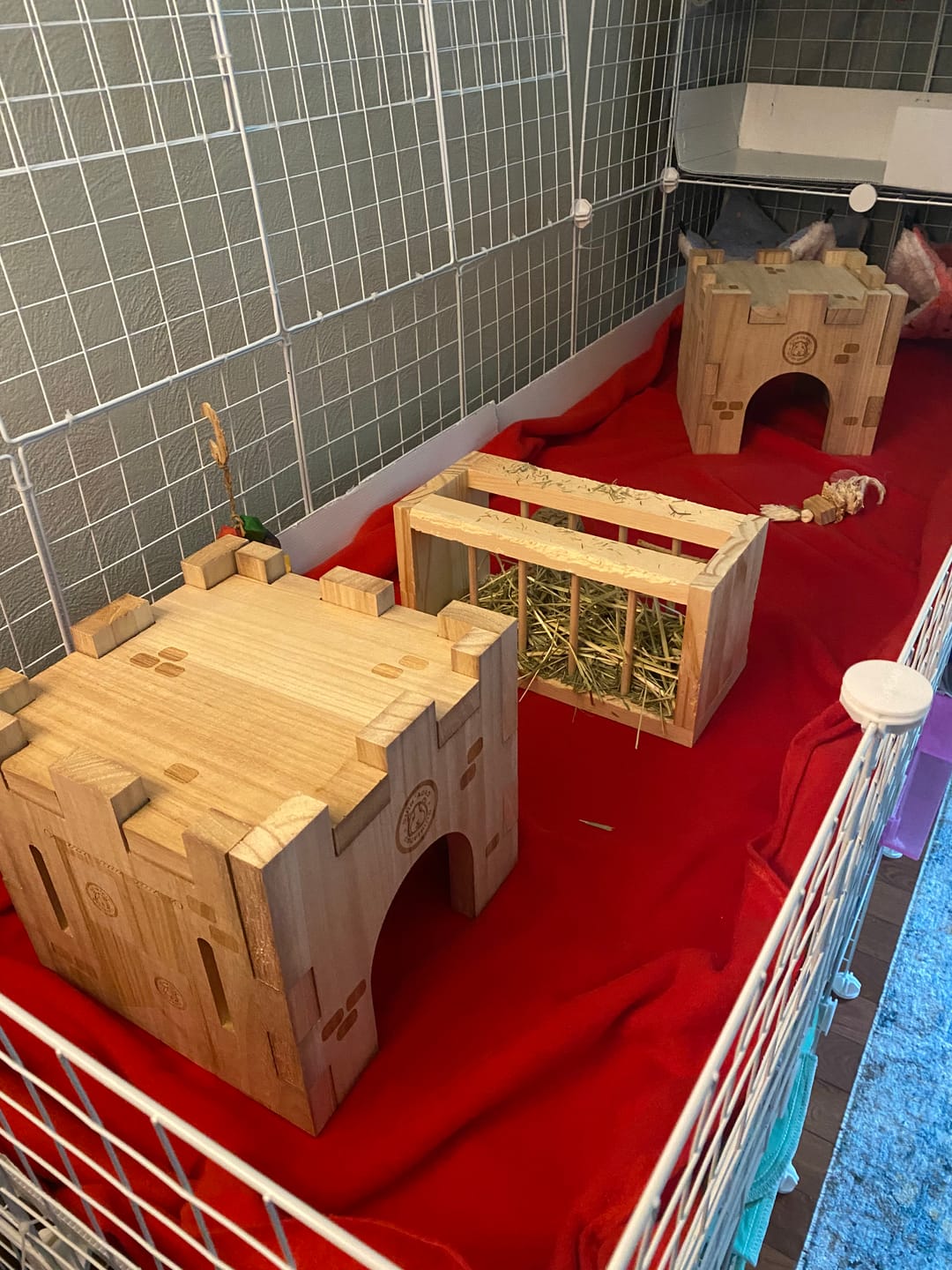Customer photo review of GuineaDad Wooden Castle Hidey For Guinea Pigs