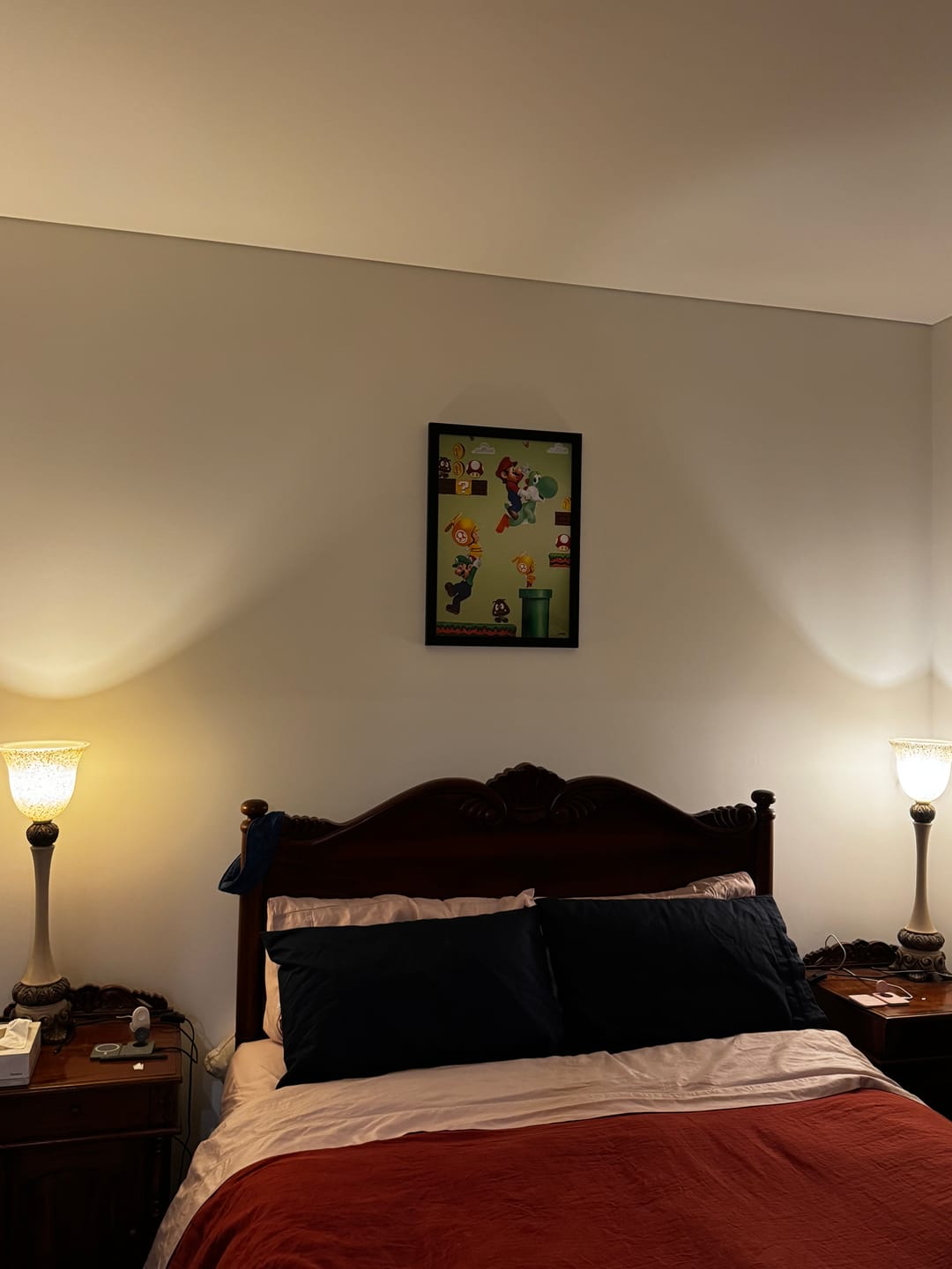 Customer photo review of Mario & Luigi Print