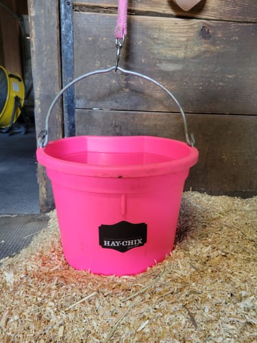 Customer photo review of The Hay Chix® Favorite Bucket