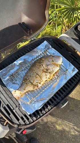 Customer photo review of Fresh Snapper Whole