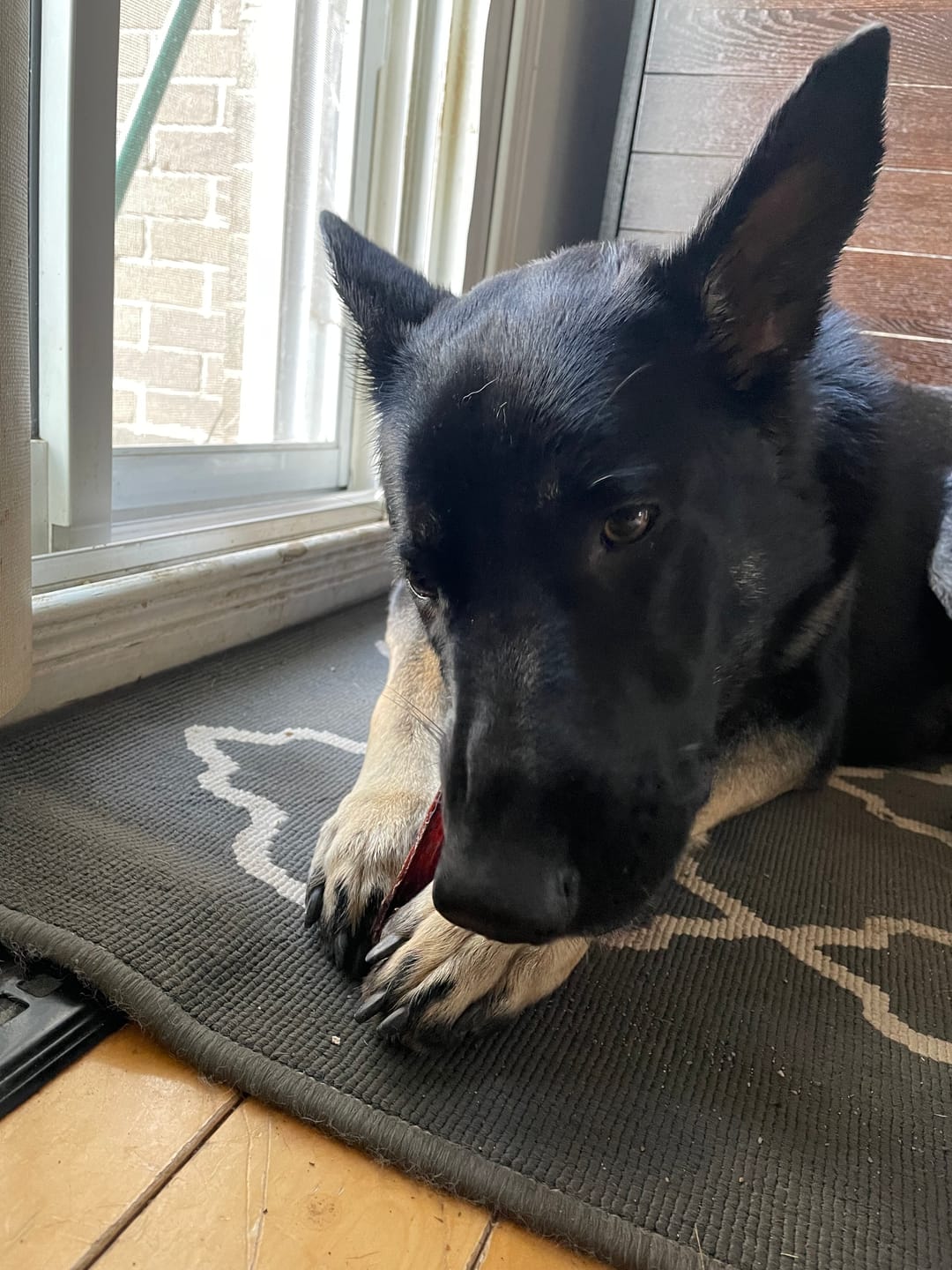 Customer photo review of Trail Mix