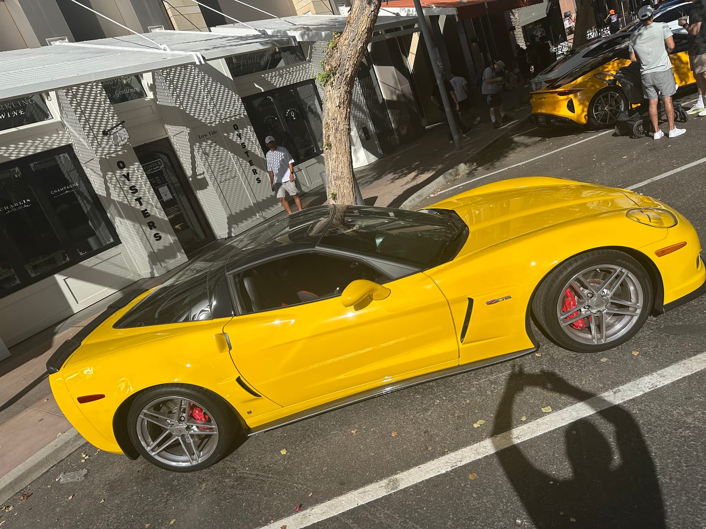 Customer photo review of Corvette C6 Grand Sport / Z06 / ZR1 Side Skirts Rocker Panels