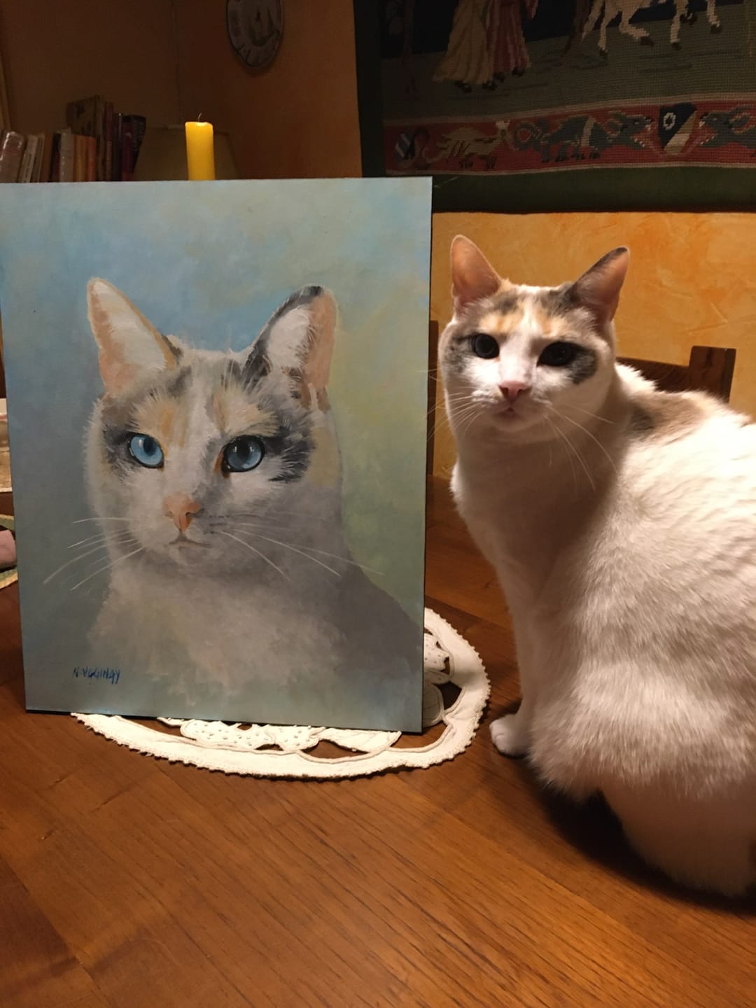 Customer photo review of Croquettes de volaille riches en ingrédients frais (chat adulte)
