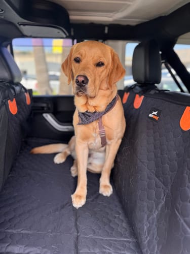 Customer photo review of RuffRover 2.0™ - Hard Bottom Back Seat Extender + (FREE Dog Bed)