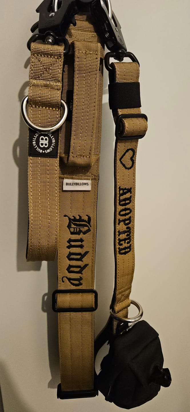 Customer photo review of 5cm Combat® Collar | With Handle & Secure Clip - Tan