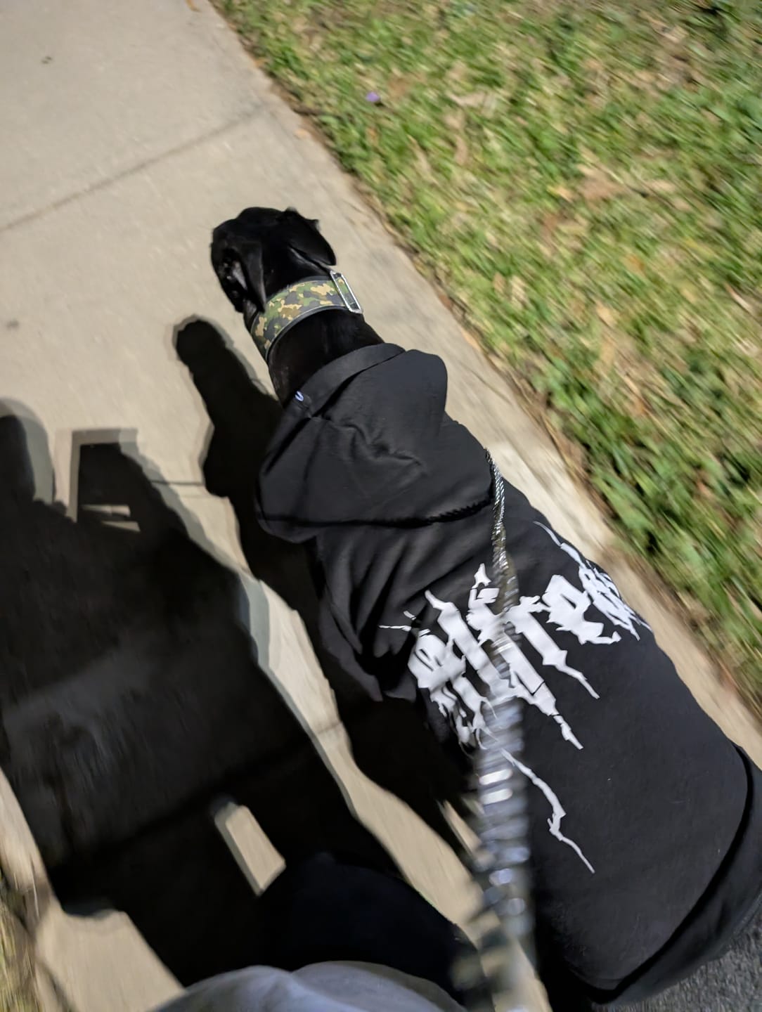 Customer photo review of Personalised Dog Hoodie Black Metal Font
