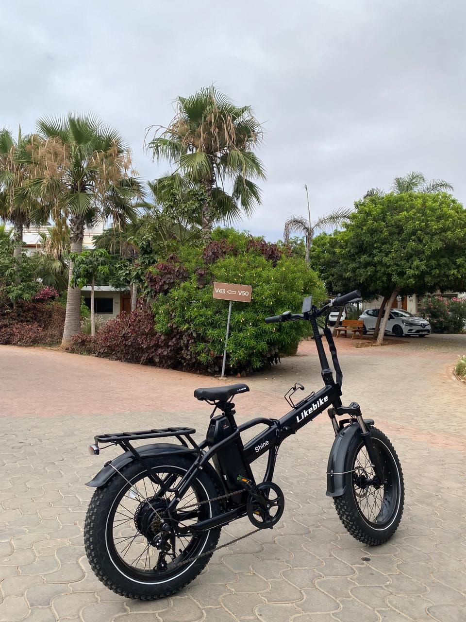 Customer photo review of E003 Foldable Electricbike