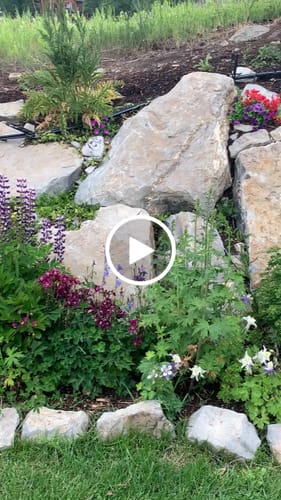 Customer video review of Clearance Bulk 8 Bundles Faux Greenery Plants UV Resistant for Outdoors Hanging Plants Garden Wholesale