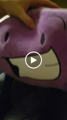 Customer video review of Turn Kid‘s Drawings into Plushies