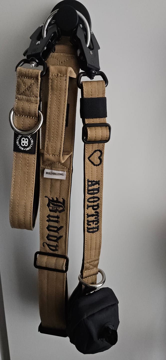 Customer photo review of 5cm Combat® Collar | NO Handle & Secure Clip - Tan