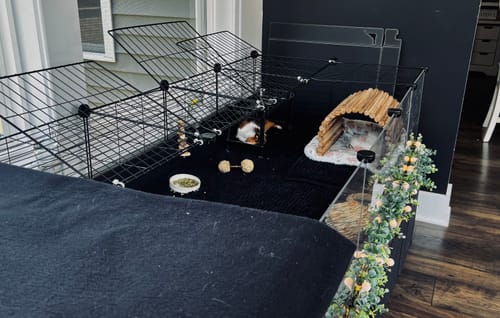 Customer photo review of 5x2 C&C Cage with Stand