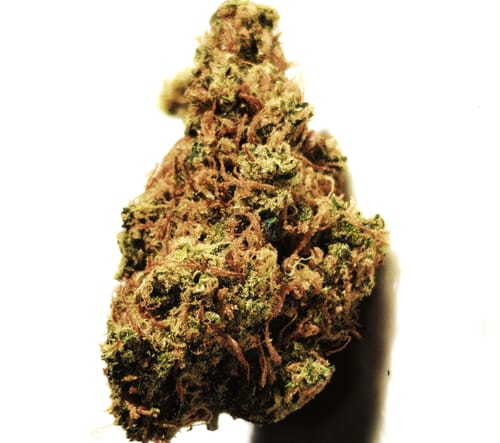 Customer photo review of Golden Pineapple