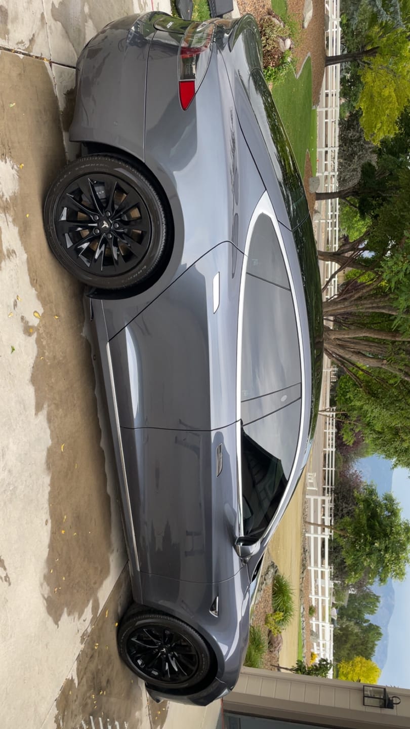 Customer photo review of Wise Guy - Gallon
