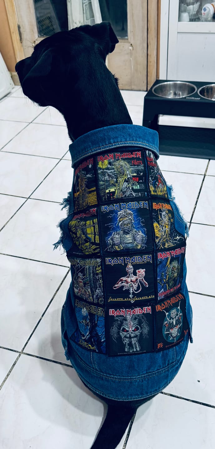 Customer photo review of Denim Dog Vest Raw Blue - Unpatched