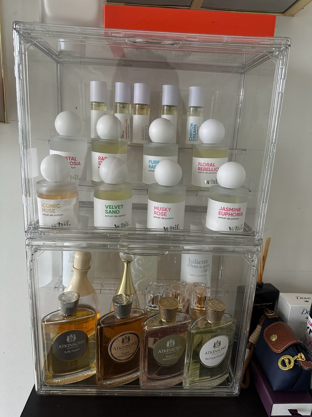 Customer photo review of Radiant Stella