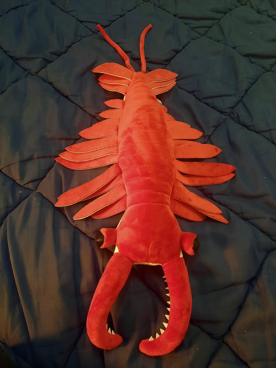 Customer photo review of Anomalocaris Arthropod Soft Stuffed Plush Toy