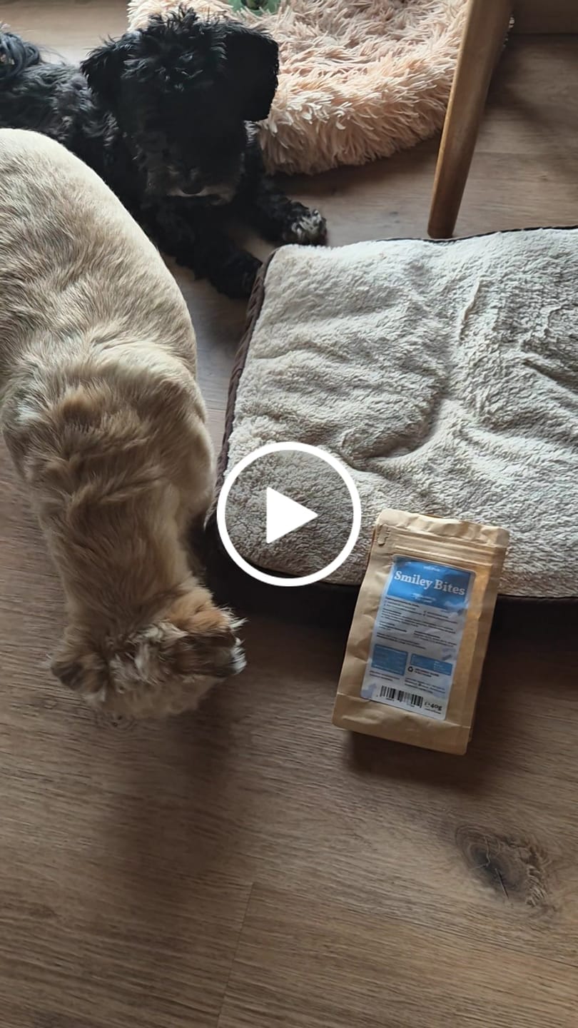 Customer video review of Smiley Bites 40g (Gratis)
