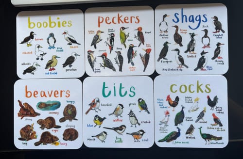 Customer photo review of Tits Bird Coaster