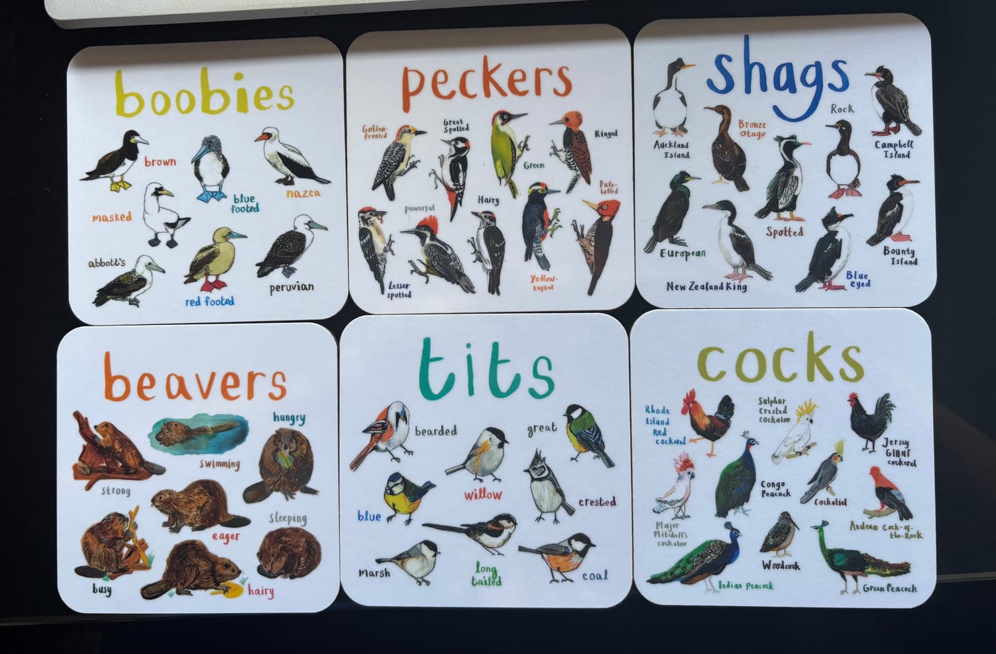 Customer photo review of Tits Bird Coaster