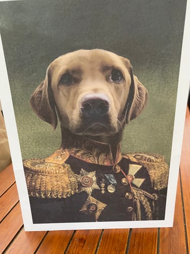 Customer photo review of The General - Custom Vintage Pet Portrait