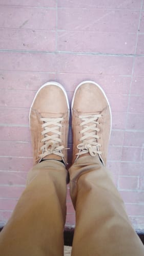 Customer photo review of Sitar Camel