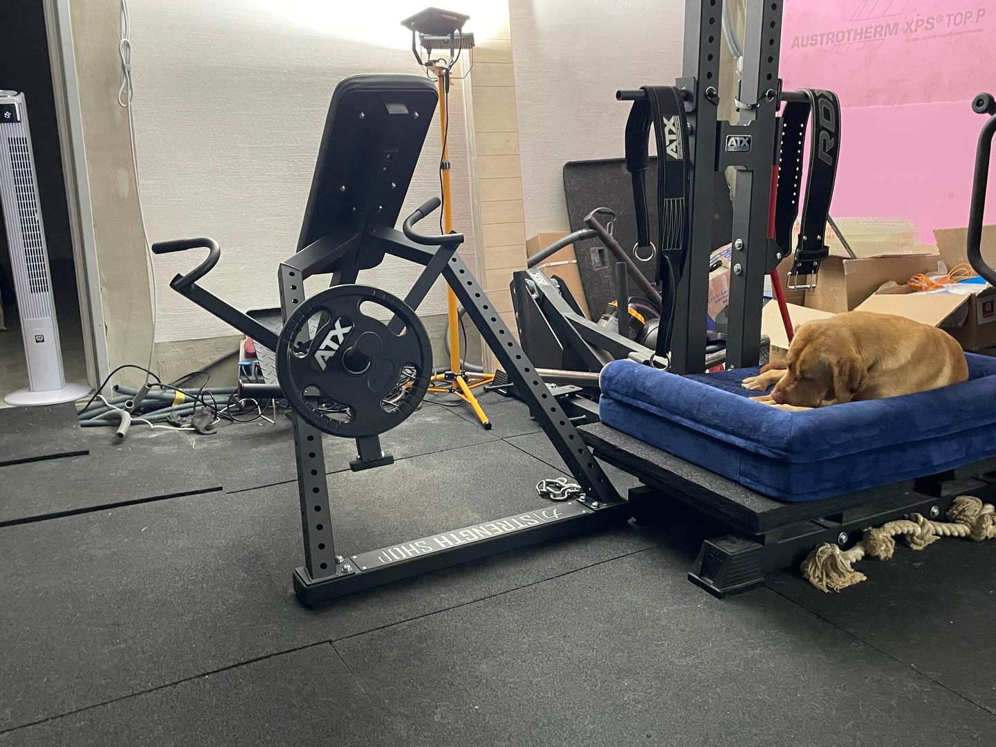Customer photo review of Riot Chest Supported Lat Row Bench
