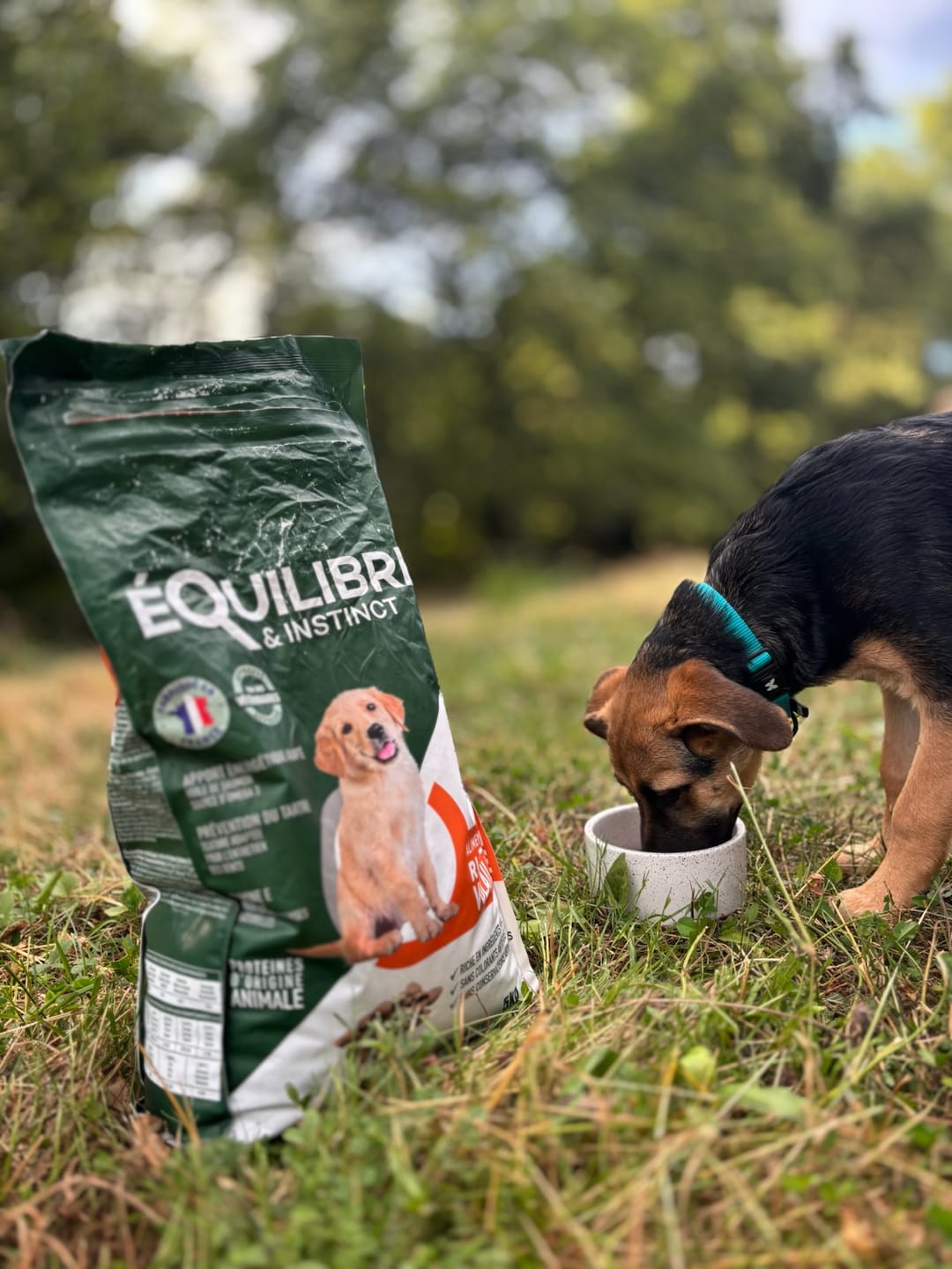 Customer photo review of Croquettes de volaille riches en ingrédients frais (chiot)