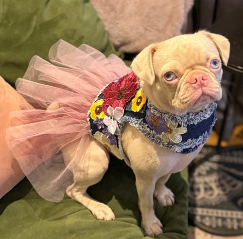 Customer photo review of Garden Party Dress