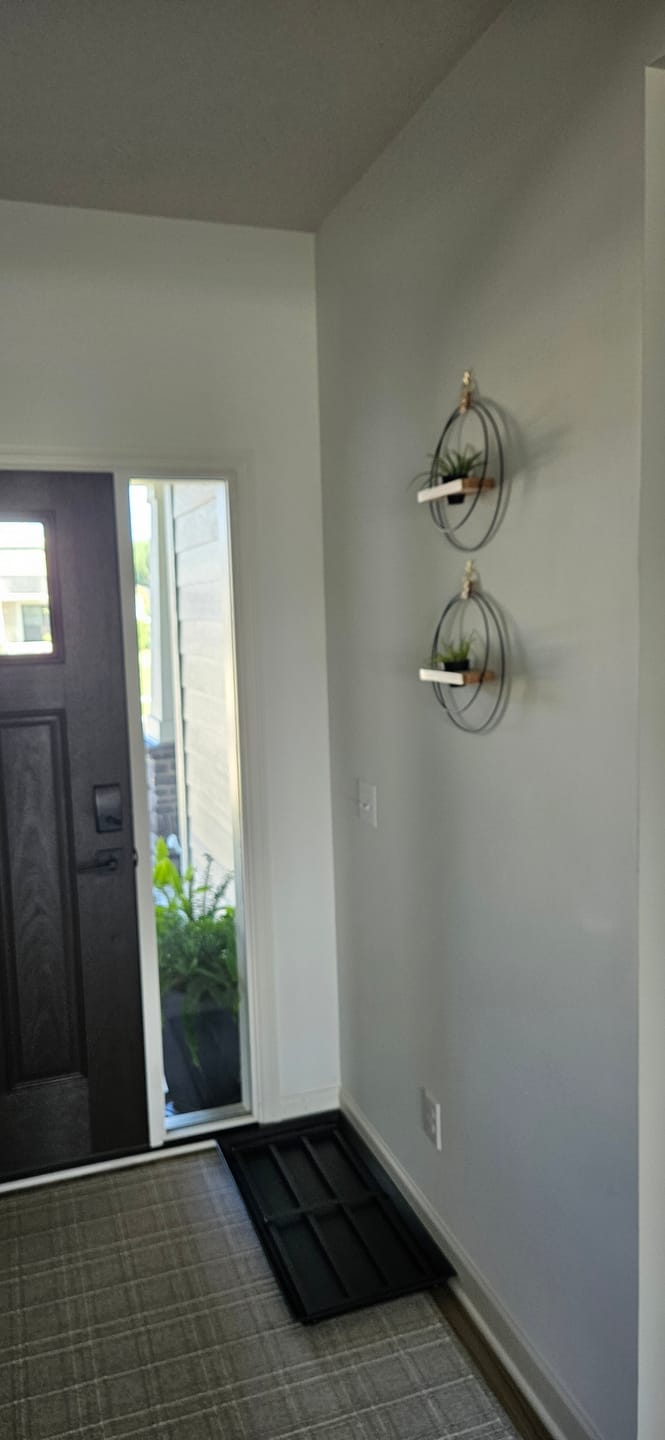 Customer photo review of Air Plant Shelf + Pot Duo