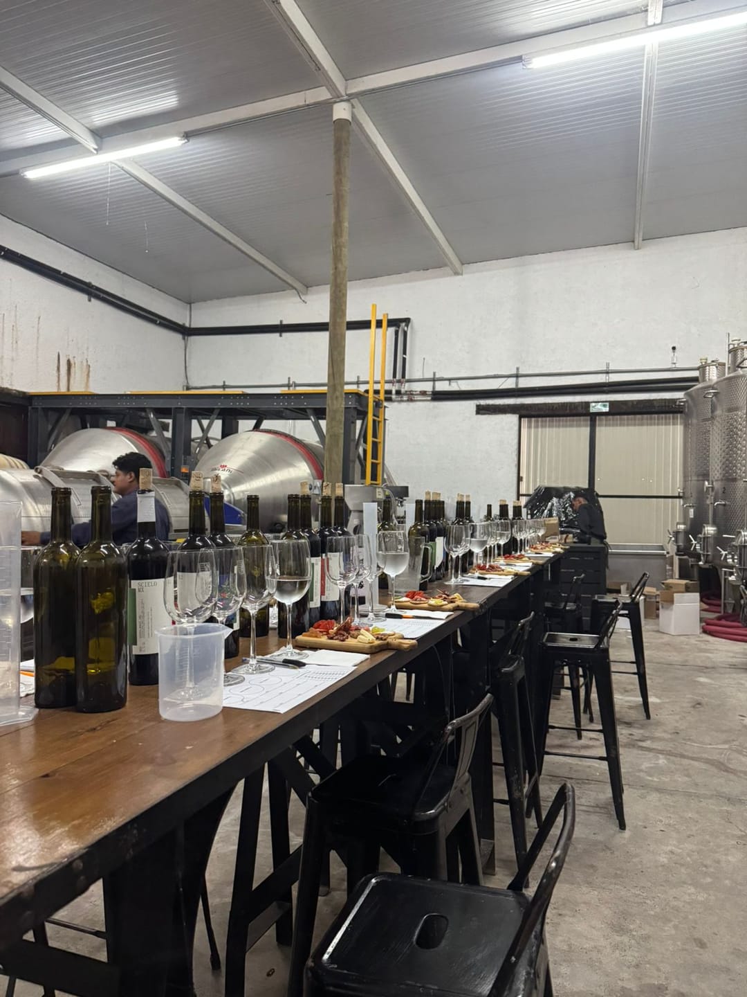 Customer photo review of Crea Tu Vino