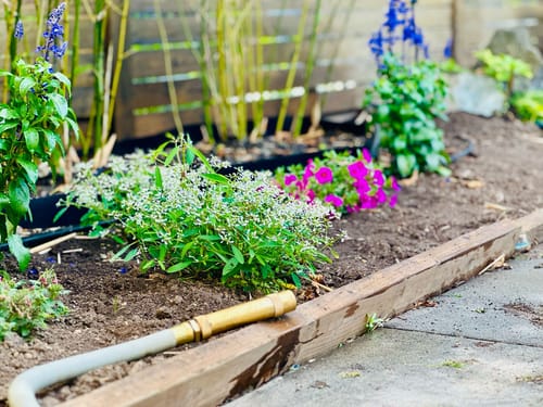 Customer photo review of Everlasting Garden Hose