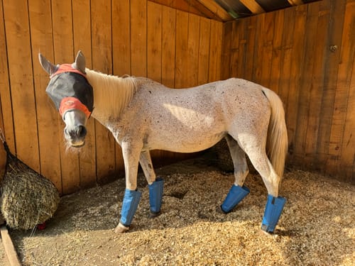 Customer photo review of Hay Chix® Half Bale Net