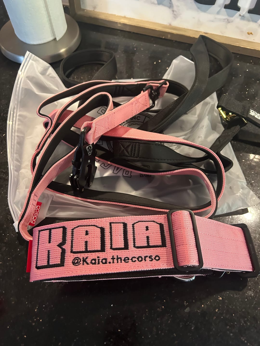 Customer photo review of 2" Tactik Dog Collar - Rose