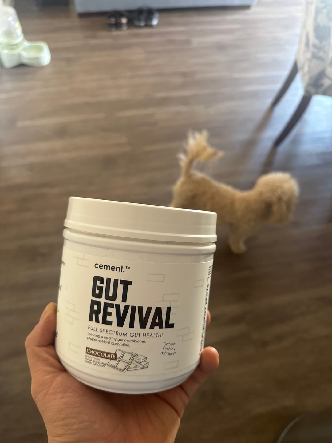 Customer photo review of Cement Factory GUT REVIVAL Gut Health Formula