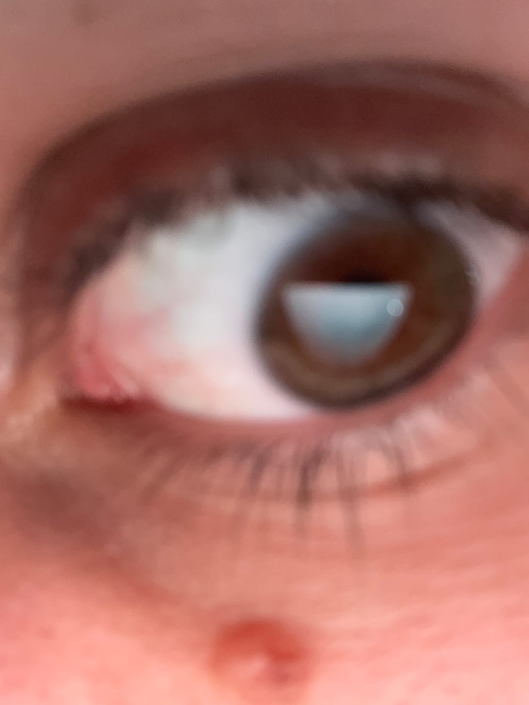 Customer photo review of LASHCOCA!NE MINI PLUS