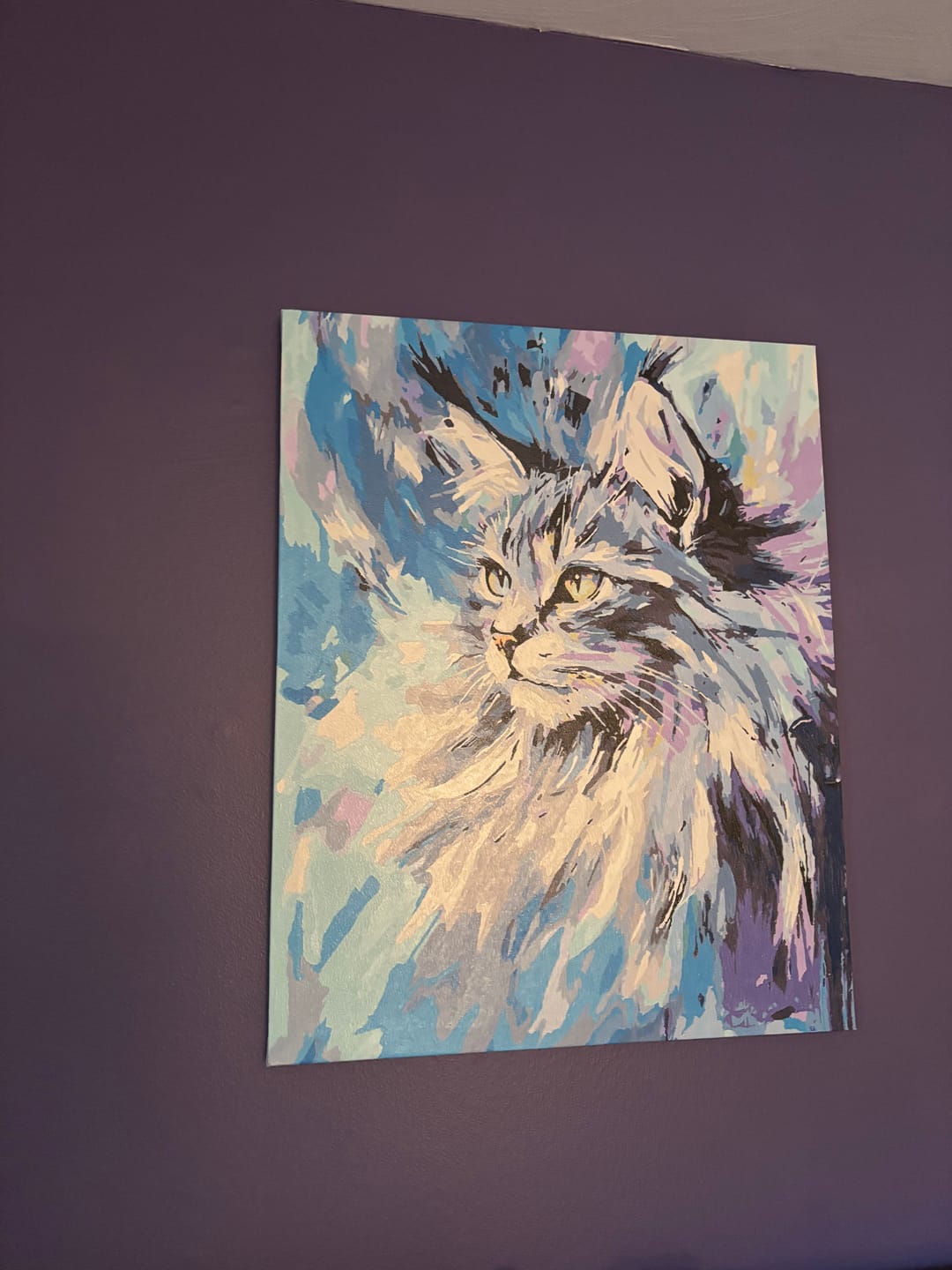 Customer photo review of Abstract Maine Coon