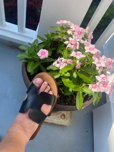 Customer photo review of Corky's Hold Please Black Smooth Sandals