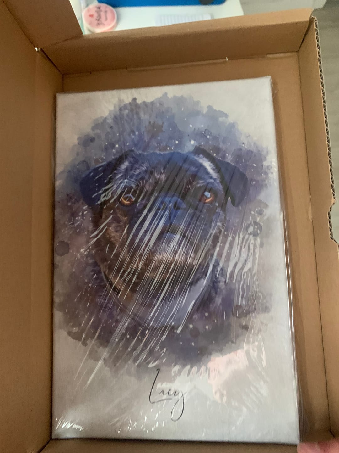 Customer photo review of Dein Hund als Aquarell Tierportrait | Geschenk für Hundebesitzer