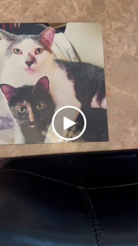 Customer video review of 1. Your Customized Photo