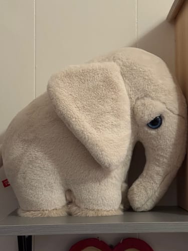 Customer photo review of The Elephant