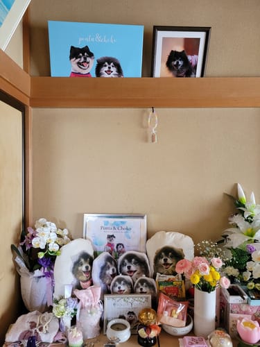 Customer photo review of Petcanvaオーダーメイド ペット似顔絵