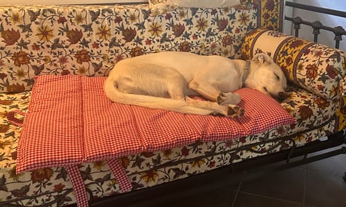 Customer photo review of Trapuntina Arrotolabile Vichy Rosso