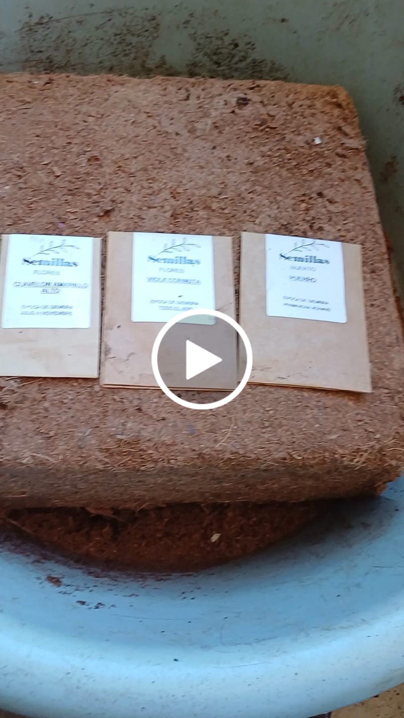 Customer video review of Fibra de coco bloque 5 kilos