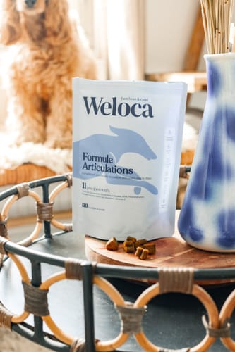 Customer photo review of Complément articulations | 120 bouchées