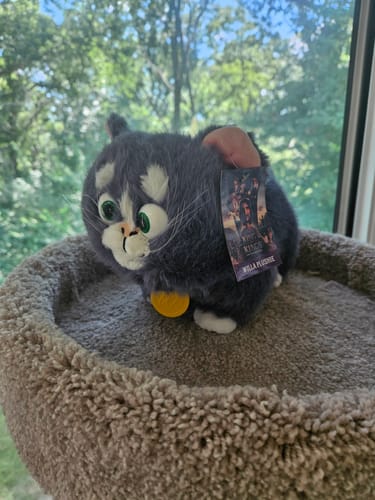 Customer photo review of Willa Plushie - The King of Kings