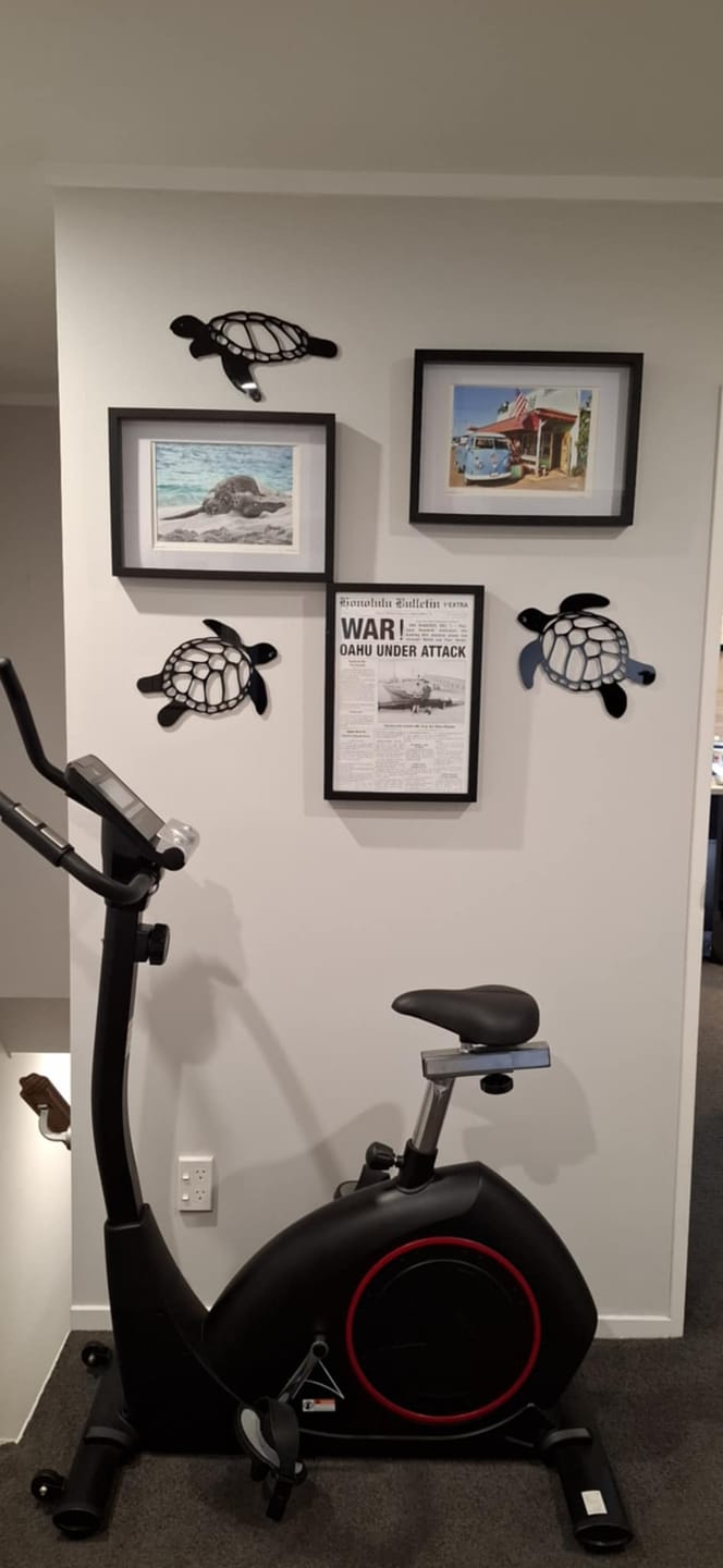 Customer photo review of Sea Turtle Wall Art Set