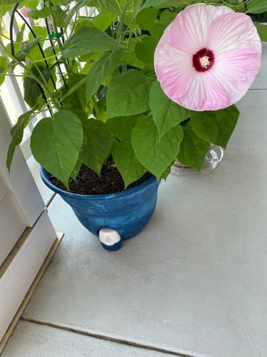 Customer photo review of Water Level Electronic Sensor for 15" Smart Self-Watering Planter