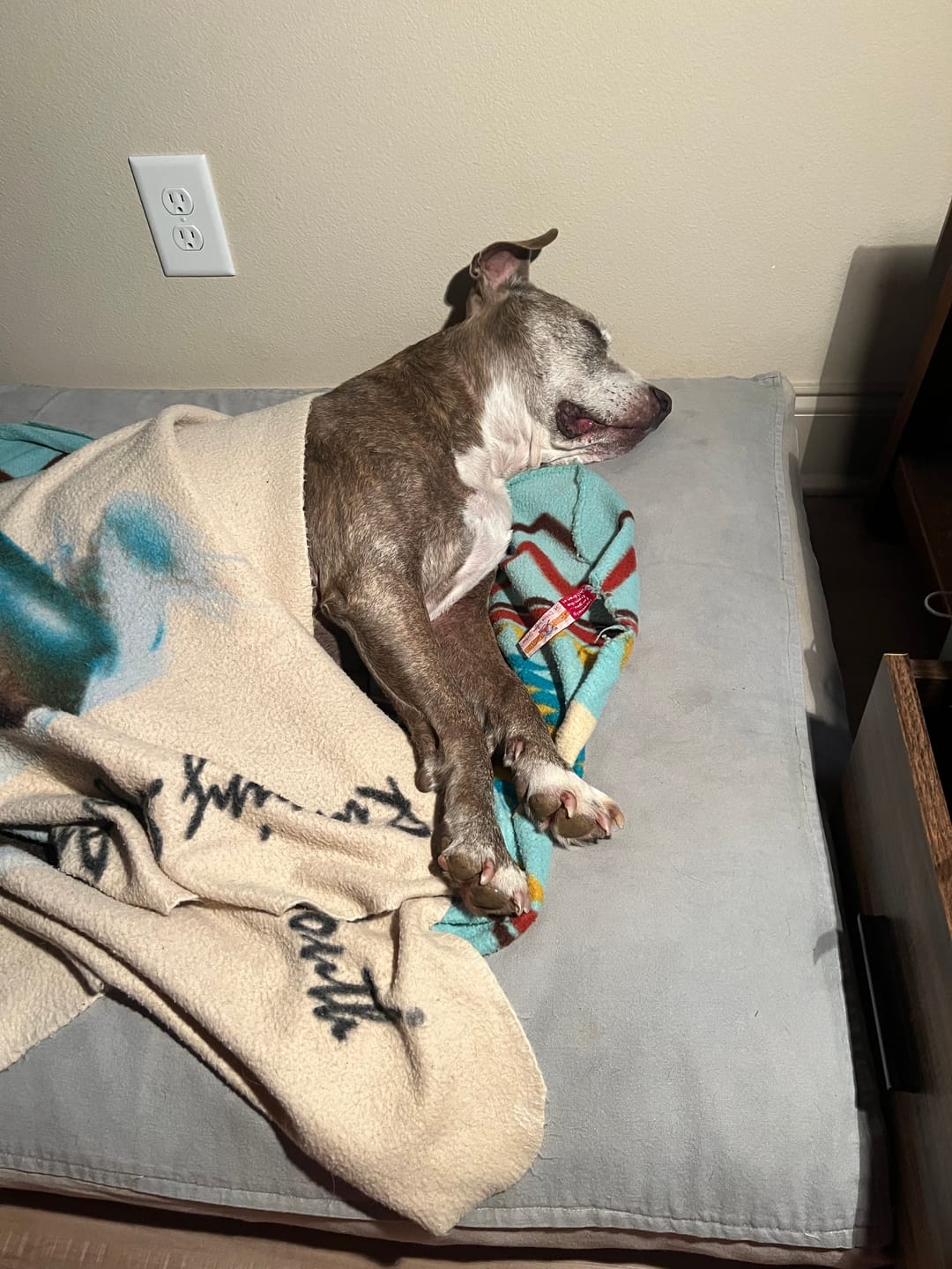 Customer photo review of Dog WALK-EASY™ Advanced Hip & Joint Pain Remedy